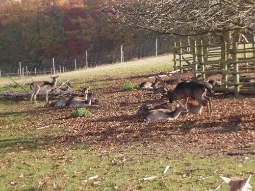 Hotel Waldhotel Forsthaus Remstecken 3*