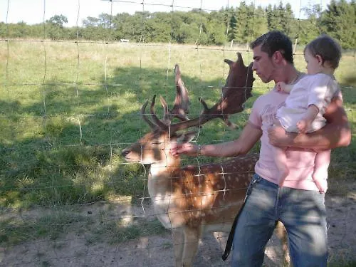 Waldhotel Forsthaus Remstecken ホテル コブレンツ