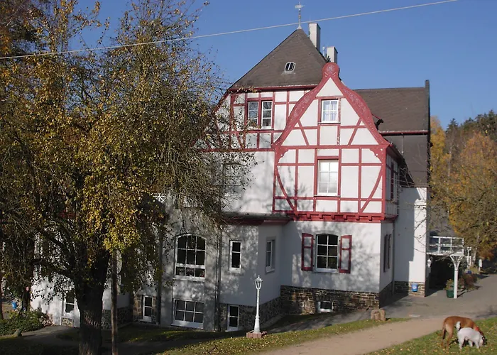 Waldhotel Forsthaus Remstecken Hotel 3*