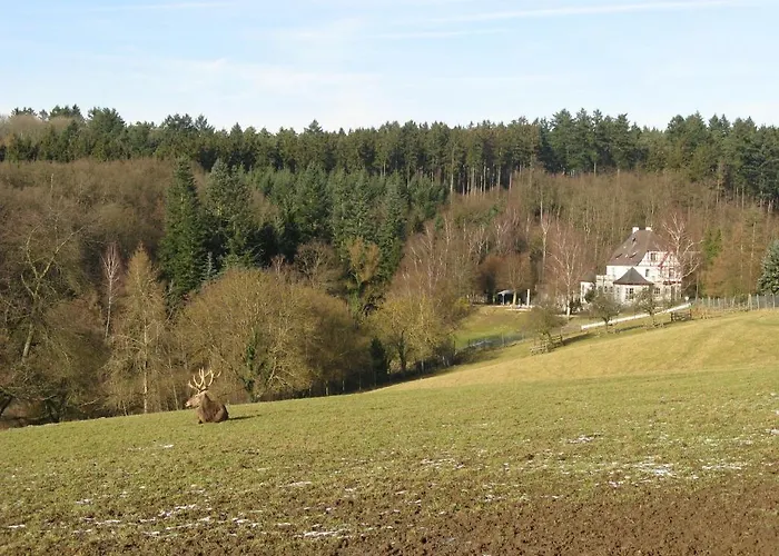 Waldhotel Forsthaus Remstecken 3*