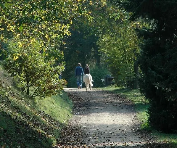 Waldhotel Forsthaus Remstecken Koblenz (Rhineland-Palatinate)